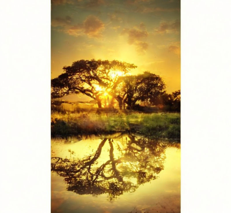 Tranquil sunset scene with golden hues and tree silhouette reflected in water