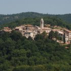 Majestic castle in serene landscape with lush greenery