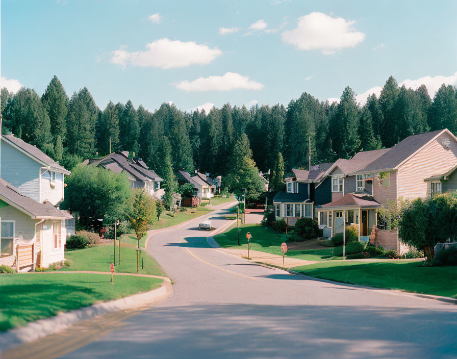 Tranquil Suburban Street with Single-Family Homes