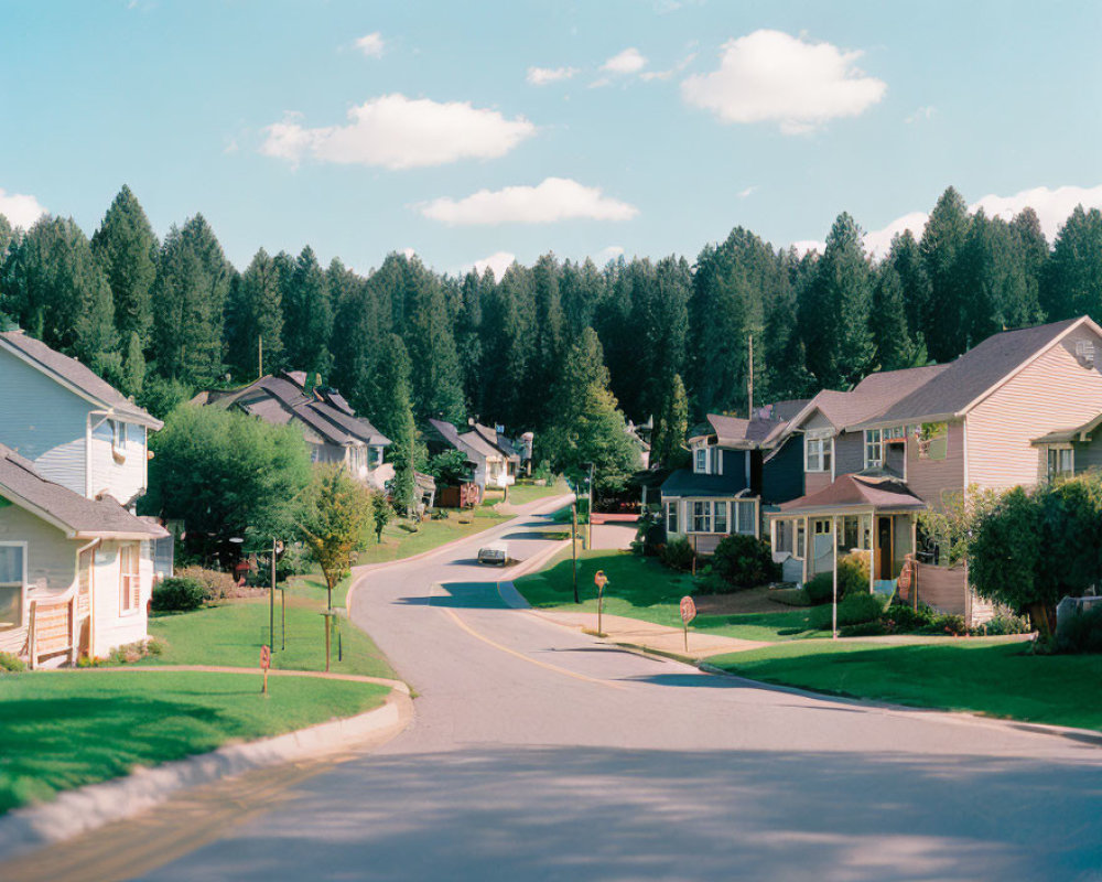 Tranquil Suburban Street with Single-Family Homes