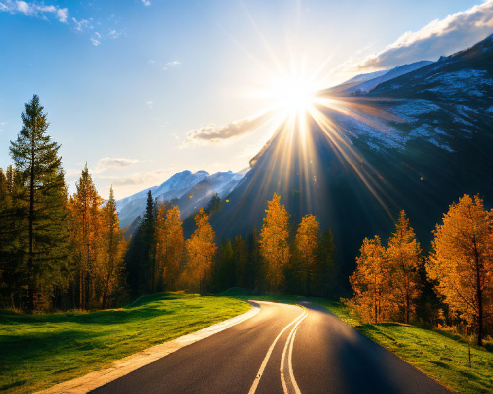 Scenic sunset view of winding road in autumnal forest