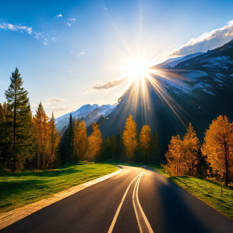 Scenic sunset view of winding road in autumnal forest