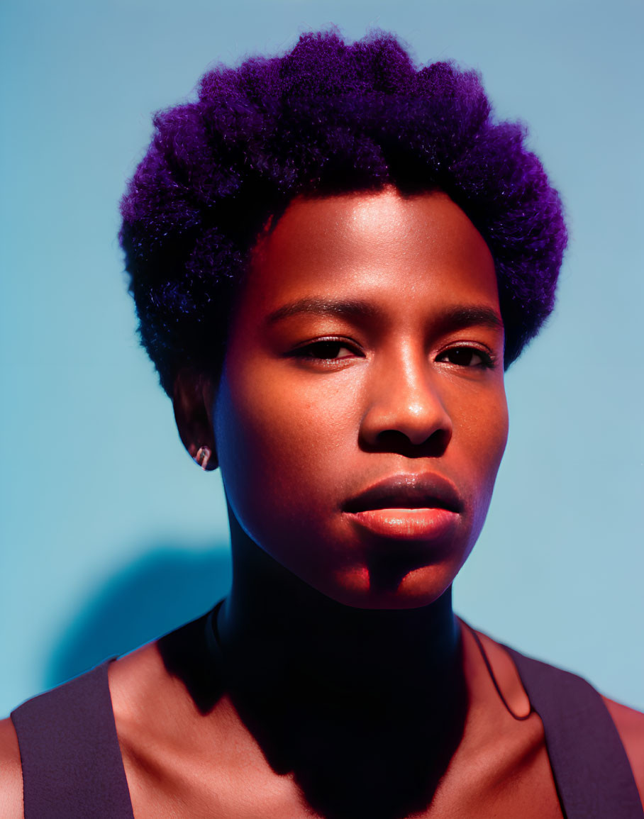 Striking purple afro against blue background with sharp shadow