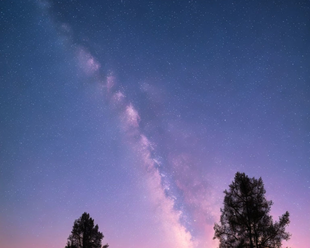 Twilight sky with stars and Milky Way over silhouetted trees