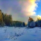 Snow-covered trees in serene winter landscape at dusk