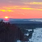 Snow-covered pine trees in serene winter sunset scene