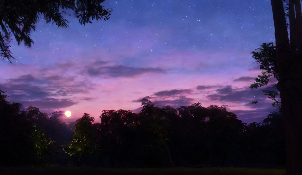 Night Sky with Stars and Silhouetted Trees under Full Moon