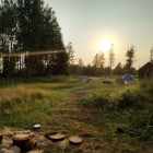 Tranquil forest clearing at sunset with mist and grassy terrain