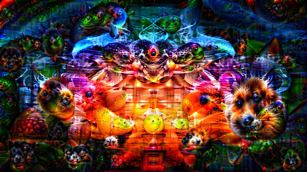 ENTER THE ACID DOME