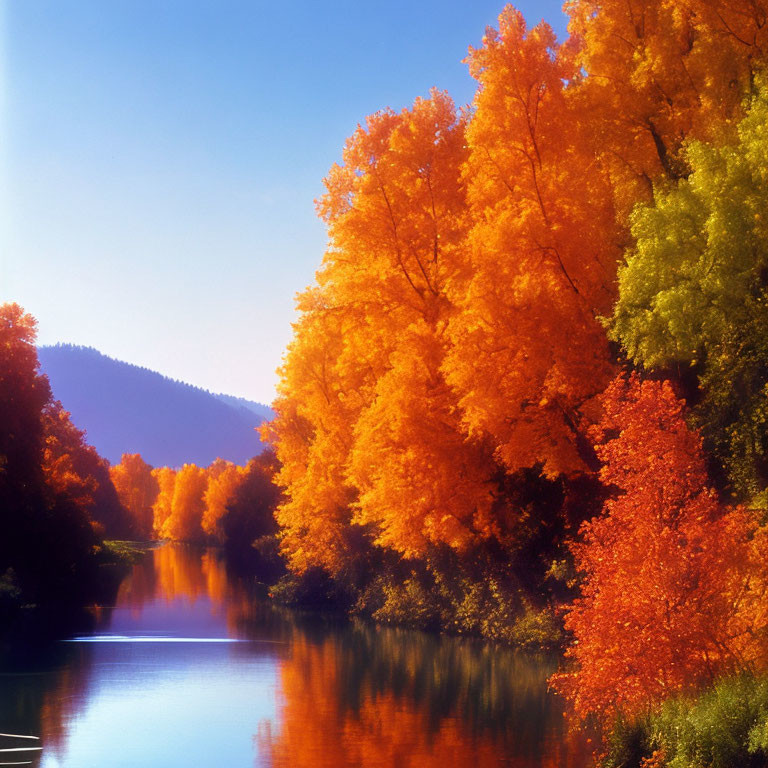 Vivid autumn trees with red and orange leaves mirrored in serene river with mountain backdrop.