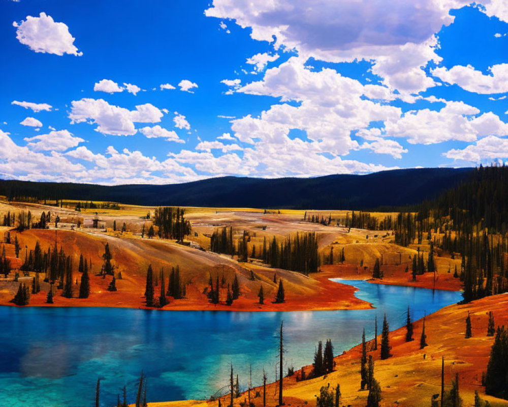 Scenic blue lake with red algae shores and evergreen trees in meadow landscape