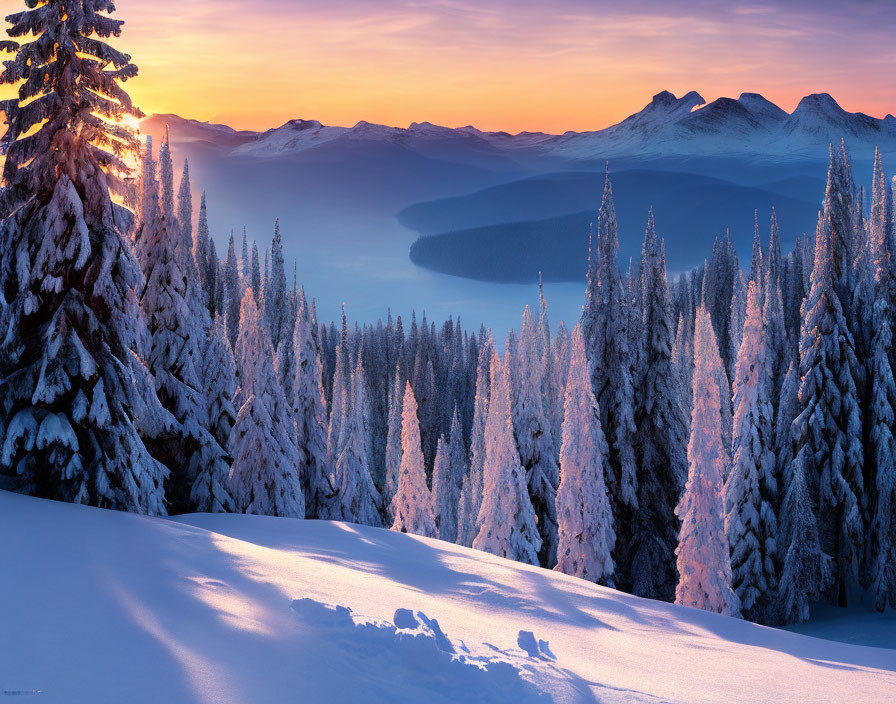 Snowy Sunrise Landscape: Frosted Trees, Mountain Backdrop, and Lake in Valley