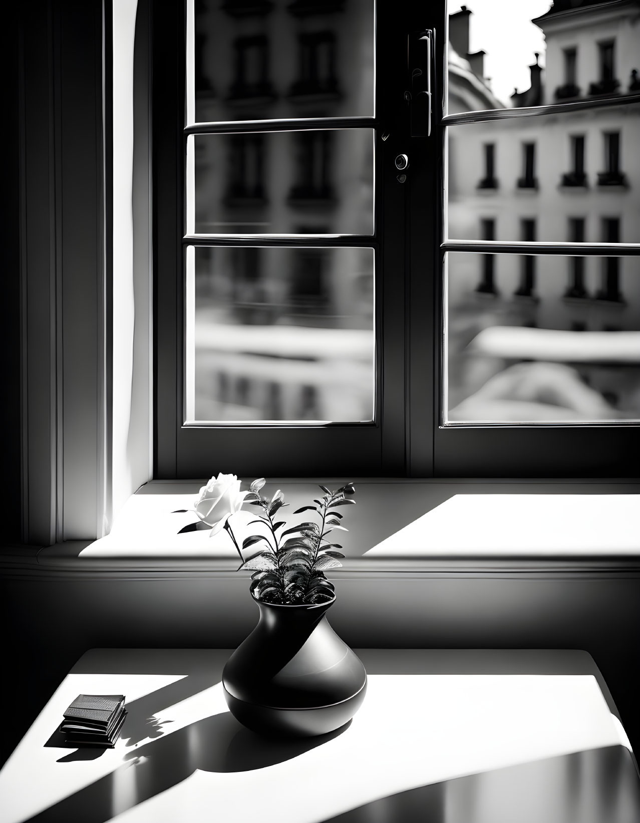 Monochrome image of sunlight through window on table with plant & books