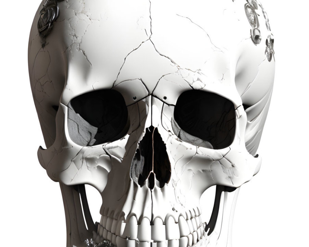 Detailed 3D Rendering: Human Skull with Cracks and Floral Patterns on White Background