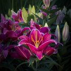 Colorful oil painting of large pink flower in lush greenery