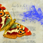 Colorful Butterfly Artwork with Music and Nature Theme