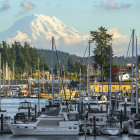 Tranquil harbor scene with colorful boats, reflections, trees, buildings, and cloudy sky