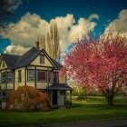 Tranquil dusk setting with thatched-roof cottages and pink blossoming tree