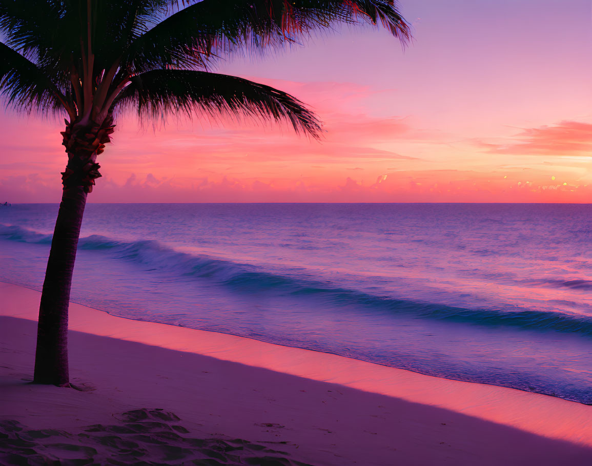 Tranquil beach sunset with pink and purple skies, palm tree silhouette, and ocean waves.