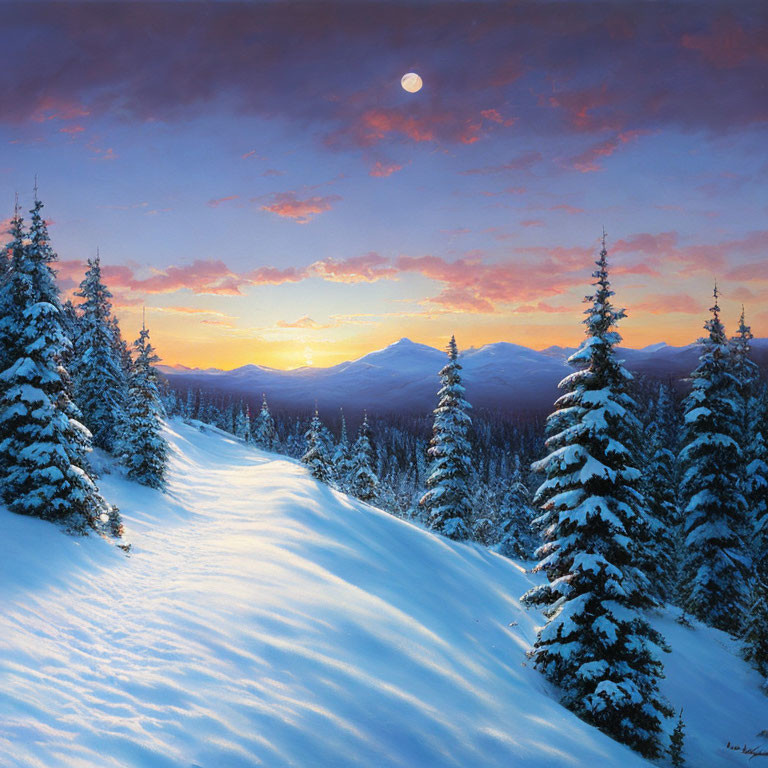 Snow-covered pine trees in serene winter sunset scene.