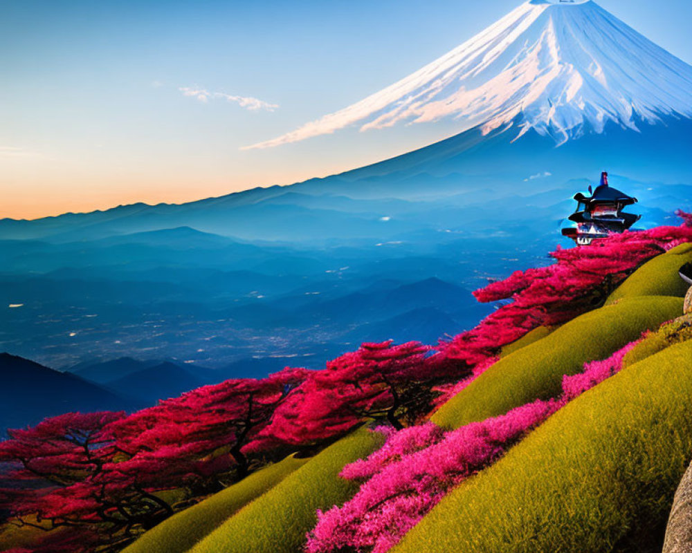 Mount Fuji with Pink Shibazakura Flowers and Japanese Pagoda in Clear Blue Sky