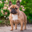 Cartoon Puppy with Large Ears Among Blooming Flowers