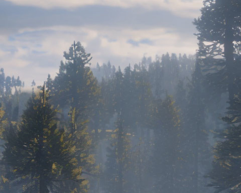 Cowboys riding horses in serene meadow with tall pine trees at sunset