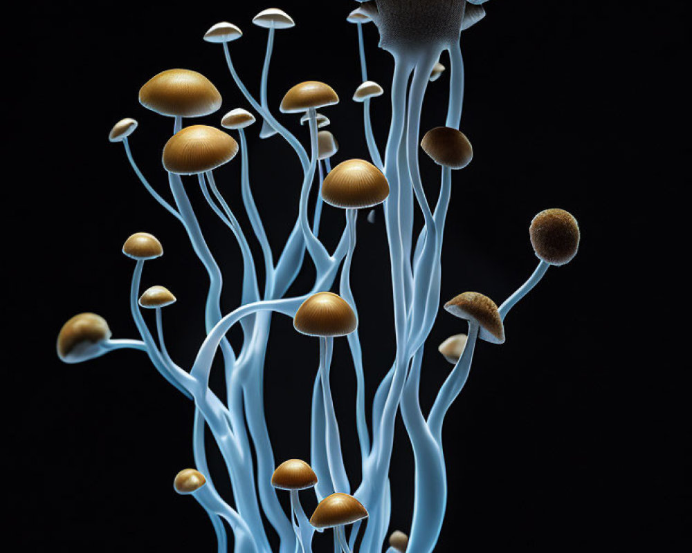 Stylized digital art of blue and brown mushrooms on black background