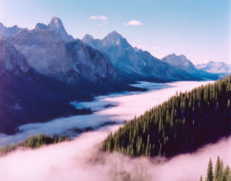 Majestic mountain landscape with misty forest and pink sky