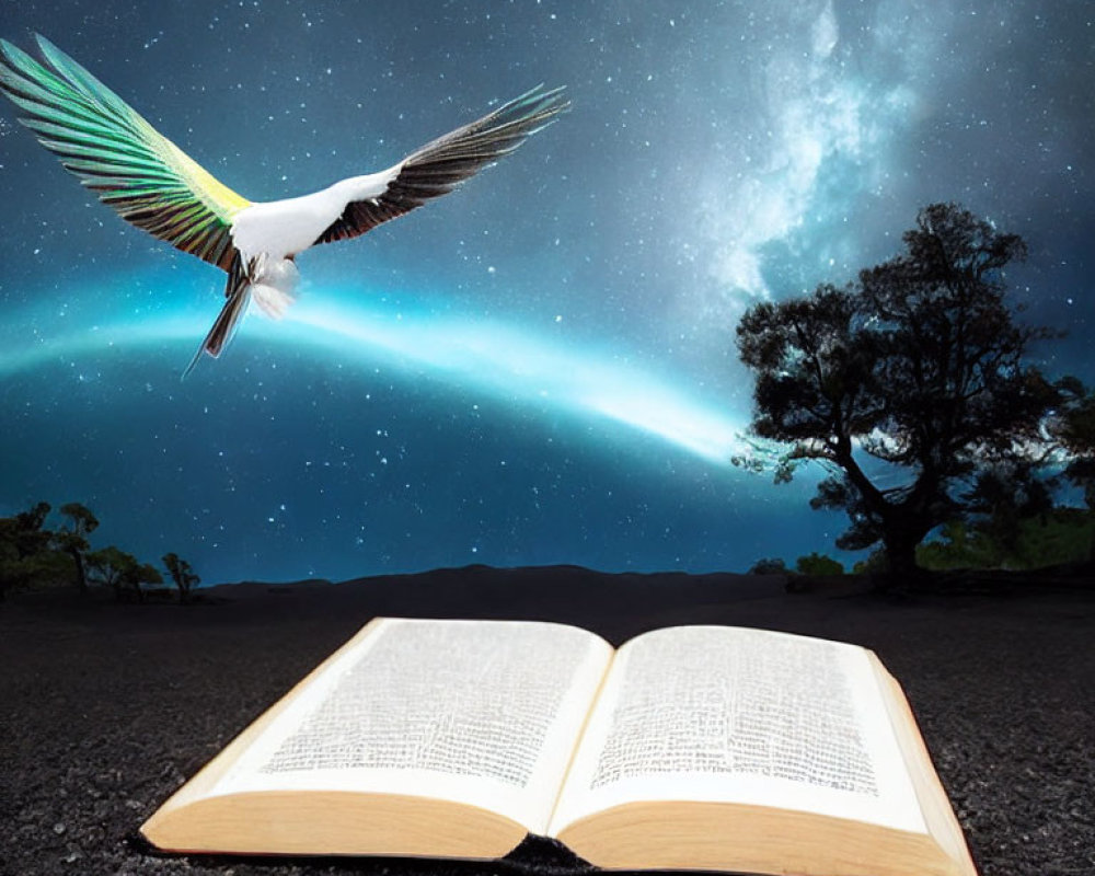 Open book on dark landscape with starry sky and aurora borealis, colorful bird flying overhead