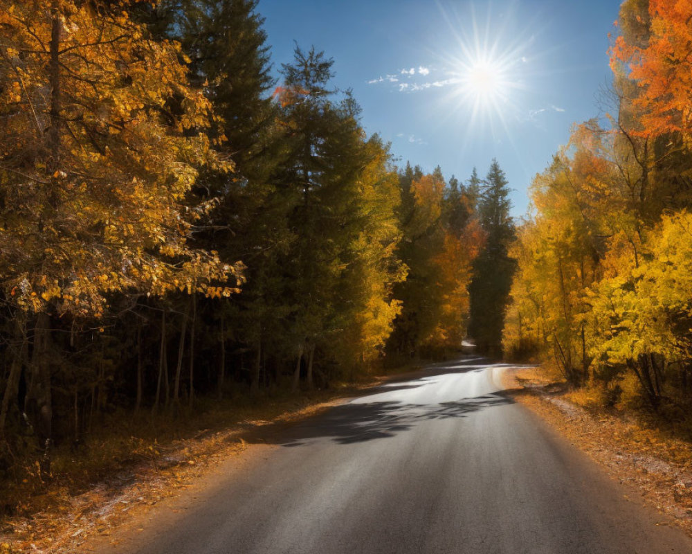 Sun-drenched road winds through vibrant autumn forest with golden leaves.