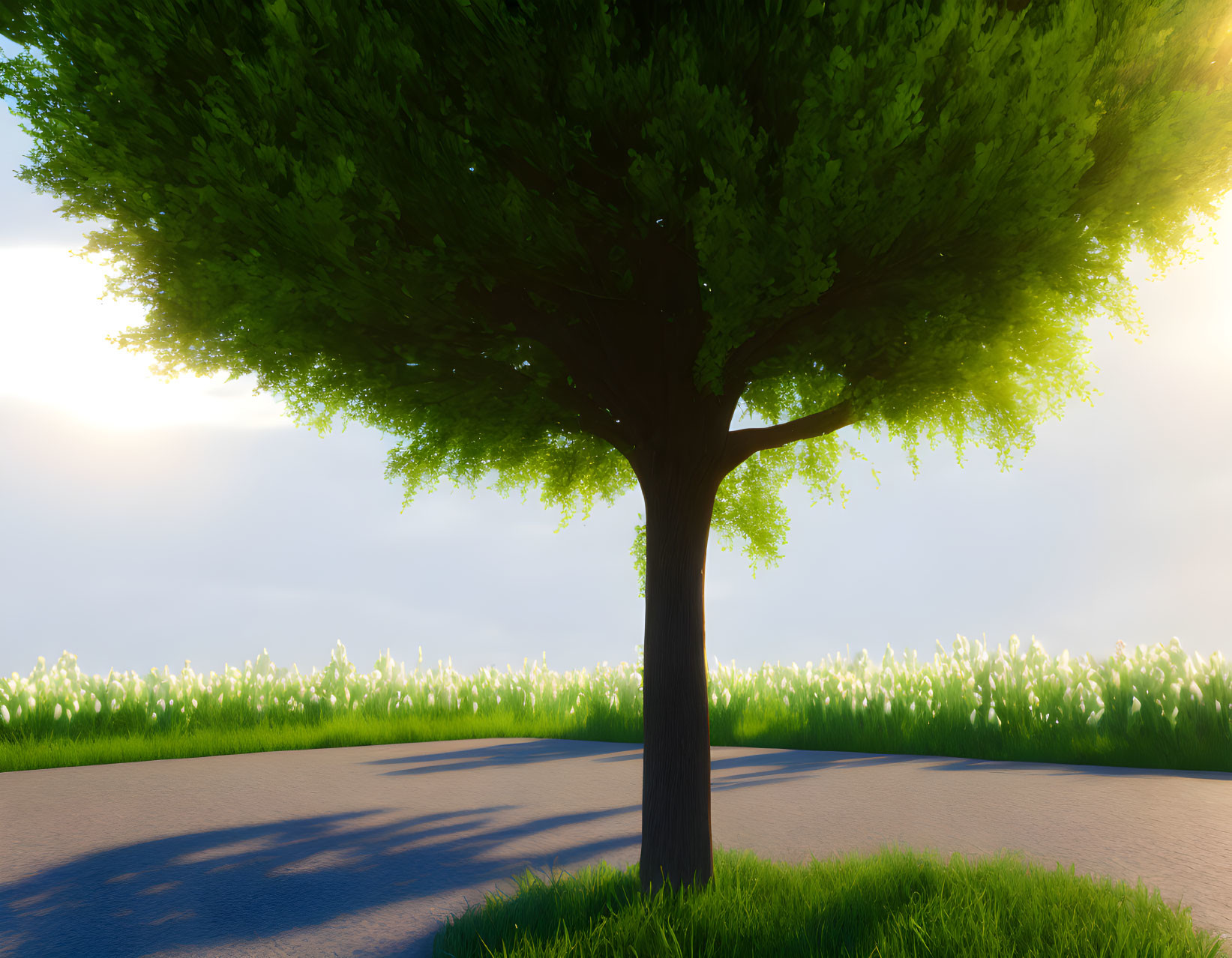 Lush tree with thick trunk and sprawling branches in grassy field under soft-focus sky