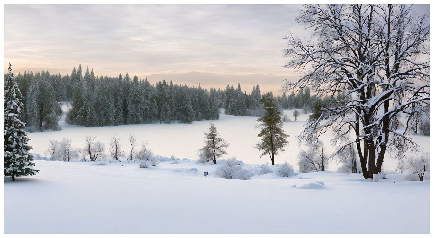 Snow-covered Ground and Trees with Frozen Lake in Twilight