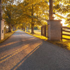 Sunlit cobblestone pathway with blooming flowers and stone pillars