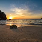 Cat on sandy beach at sunset with glimmering lights, ocean view, cliffs, and starry