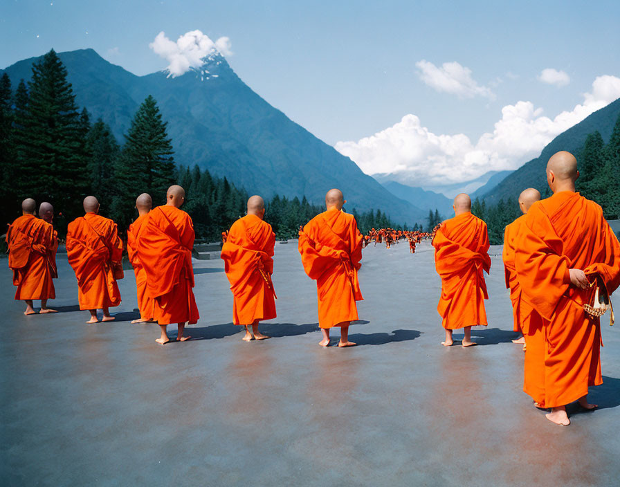 Buddhist monks in orange robes with mountains and trees.