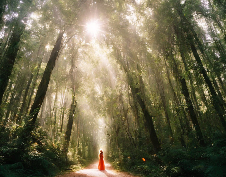 Person in Red Cloak Standing on Forest Path with Sunbeams Through Misty Canopy