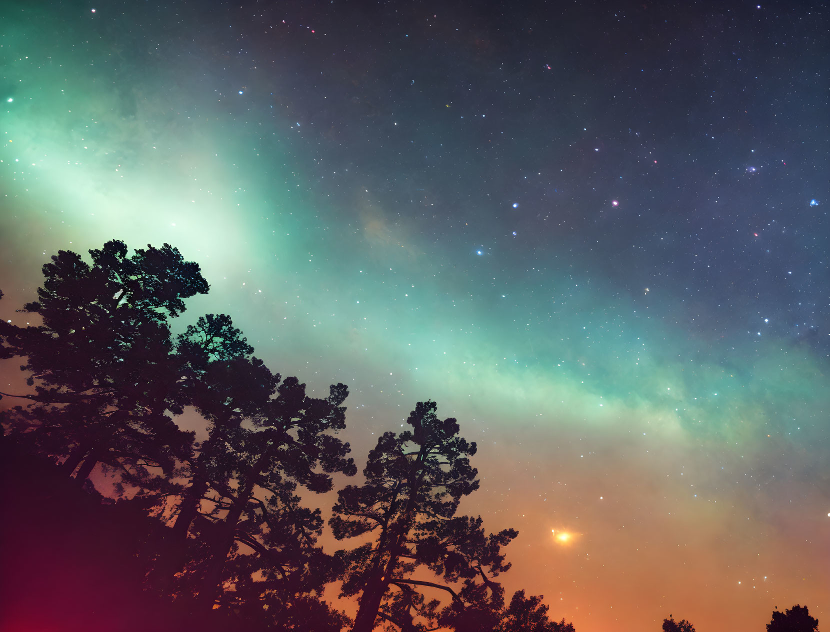 Vibrant aurora borealis over silhouetted pine trees at night