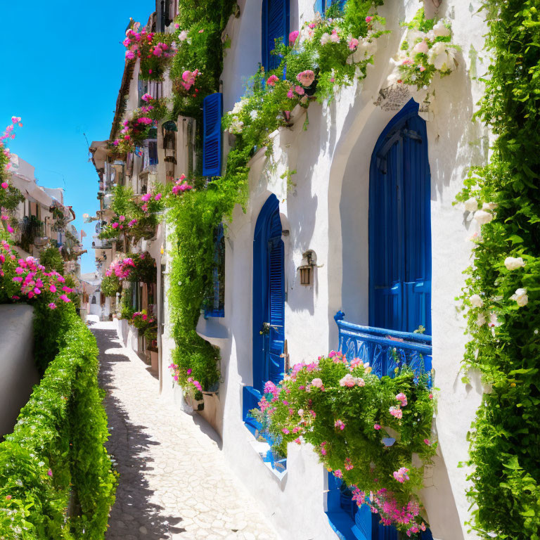 Scenic street with white buildings, blue doors, pink flowers