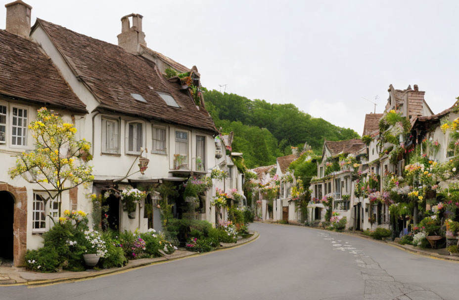 Traditional houses on quaint village street with colorful flowers under overcast sky