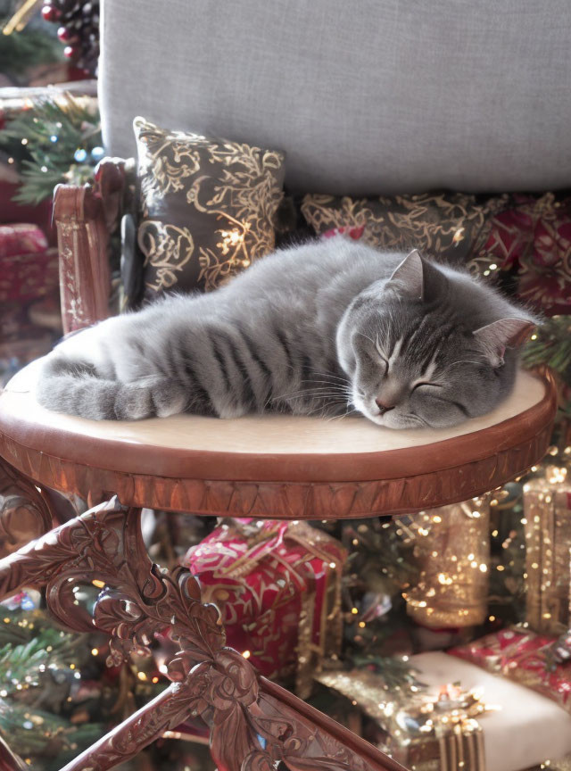 cute cat sleeping in the christmas decorated chair