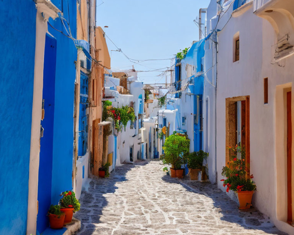 Cobblestone alley with white buildings, blue doors & windows, red flowers