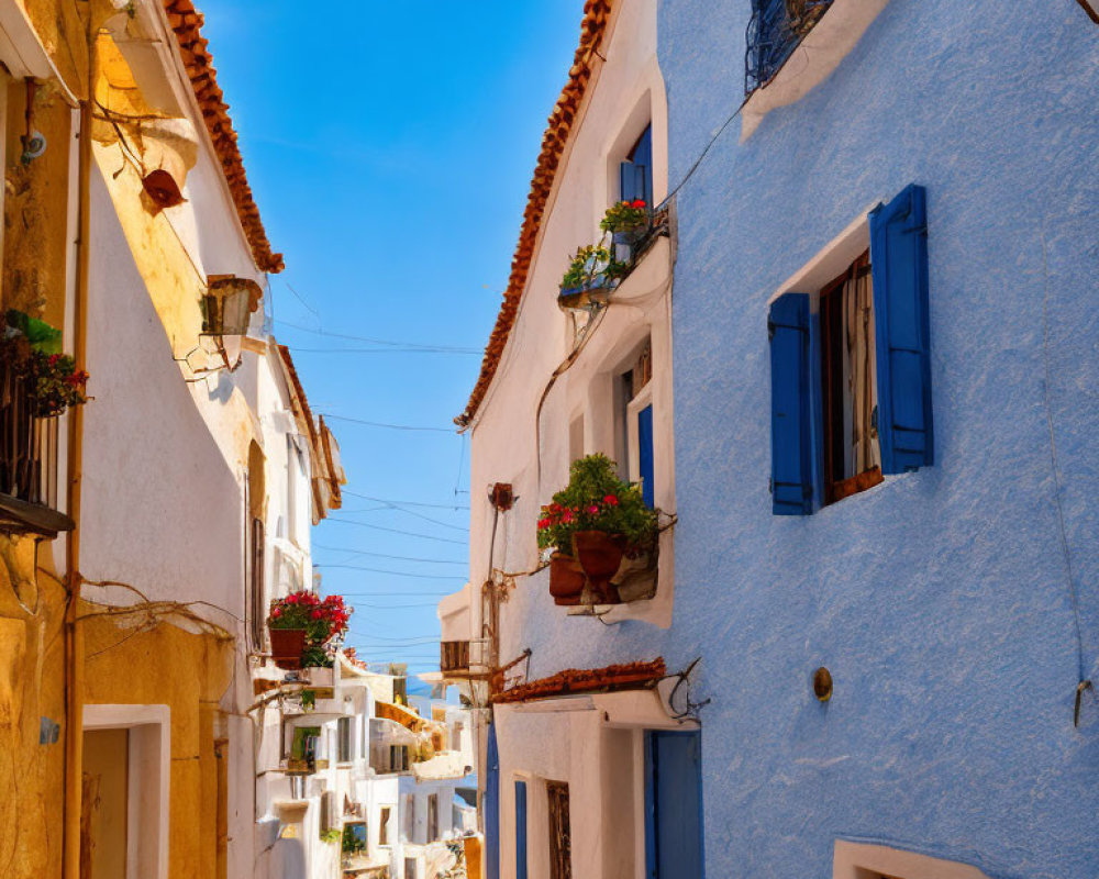 European Street Scene: Blue and White Buildings, Flower Pots, Clear Sky