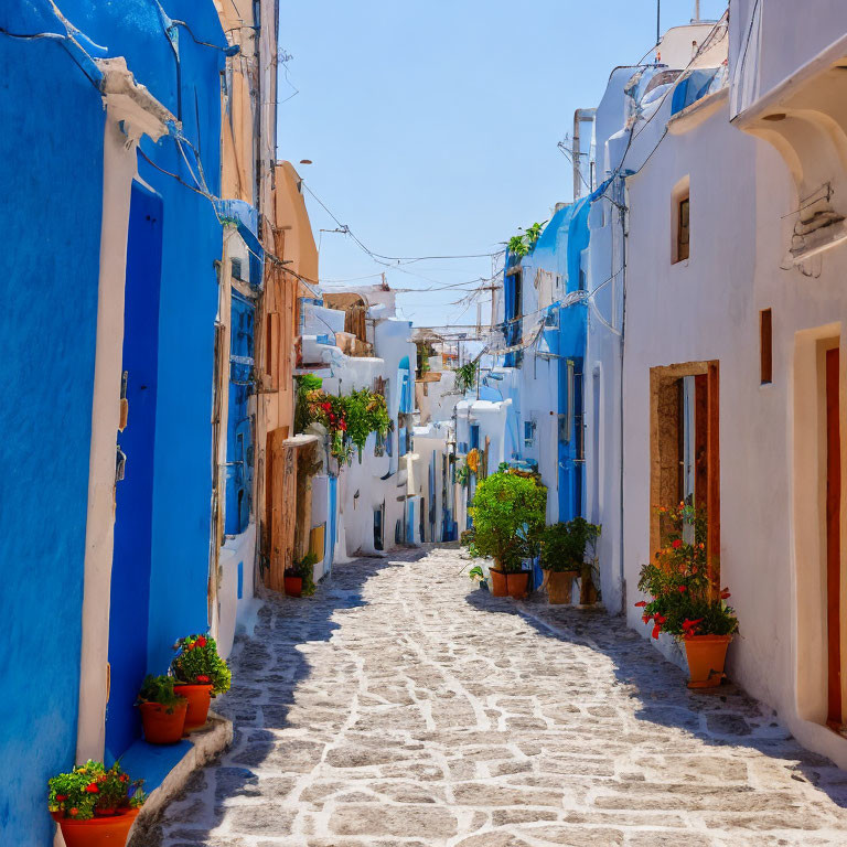 Cobblestone alley with white buildings, blue doors & windows, red flowers