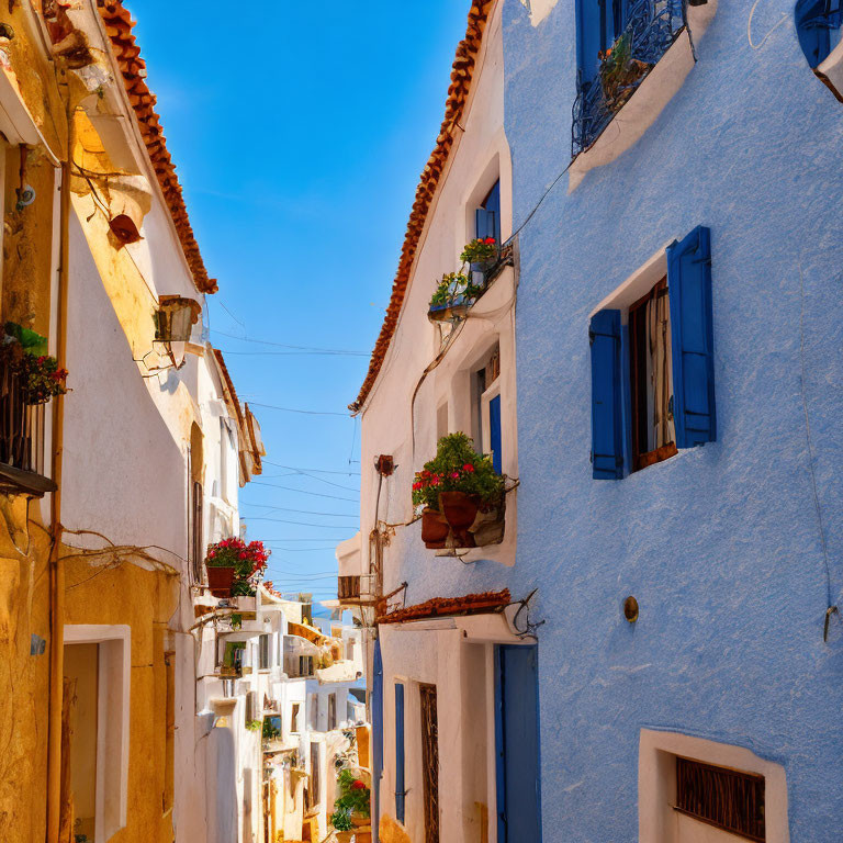 European Street Scene: Blue and White Buildings, Flower Pots, Clear Sky