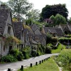 Charming cobblestone street with colorful houses and greenery