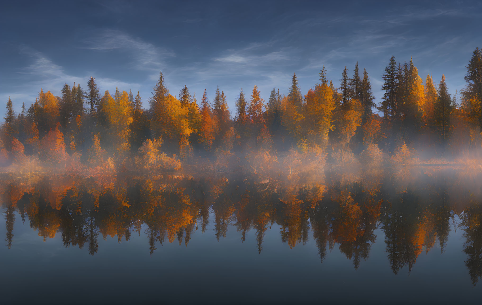 Reflection of trees on a surface lake 