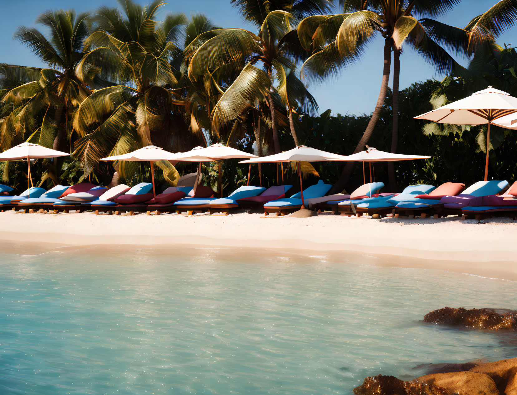 Tropical Beach Scene with Palm Trees and Sun Loungers