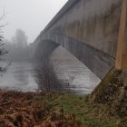 Foggy Day Scene: Concrete Bridge, High Water, Bare Trees & Dying Ferns