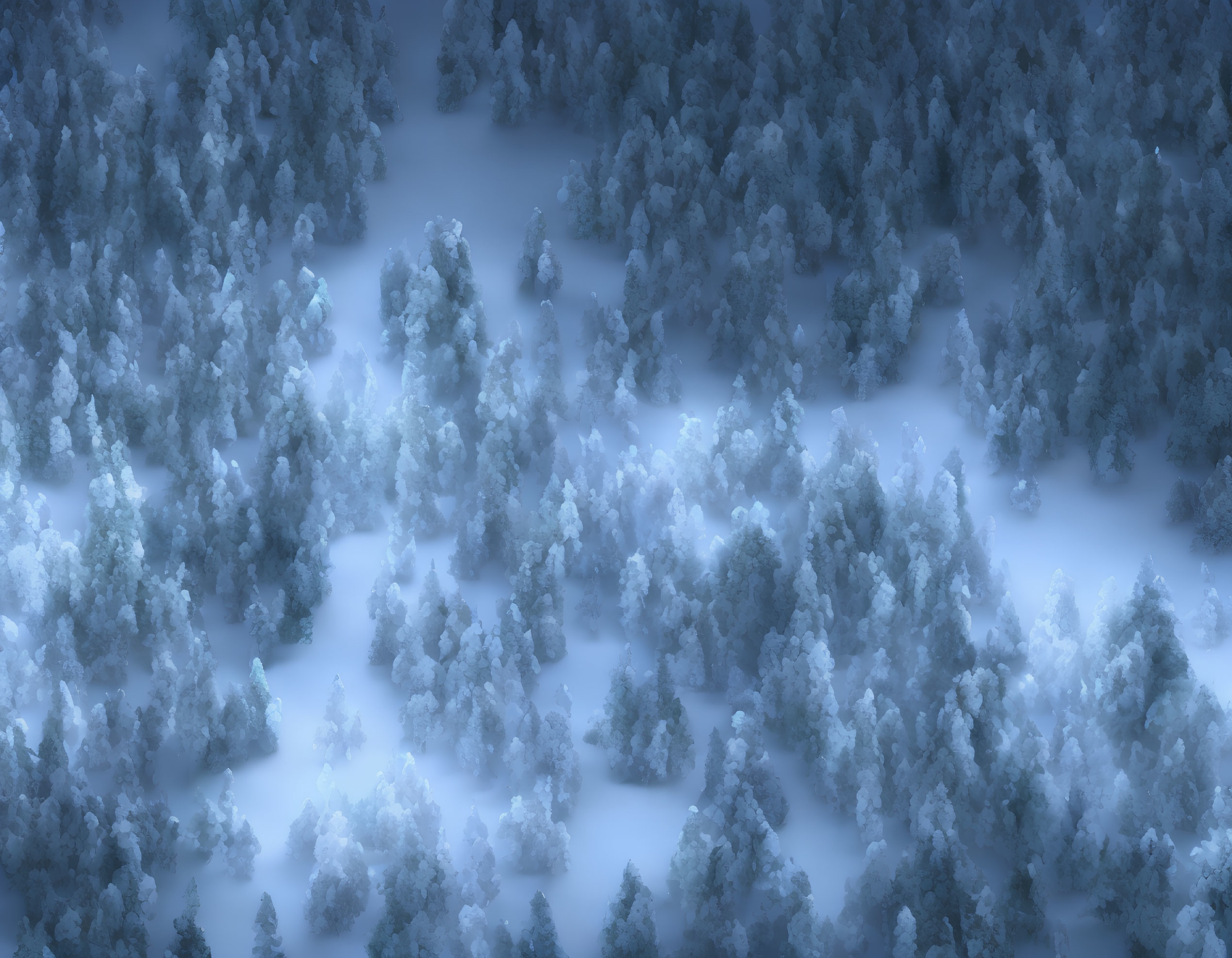 Snow-covered forest in serene winter landscape aerial view